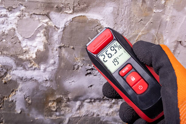 Best Mold Removal Near Me  in Owosso, MI