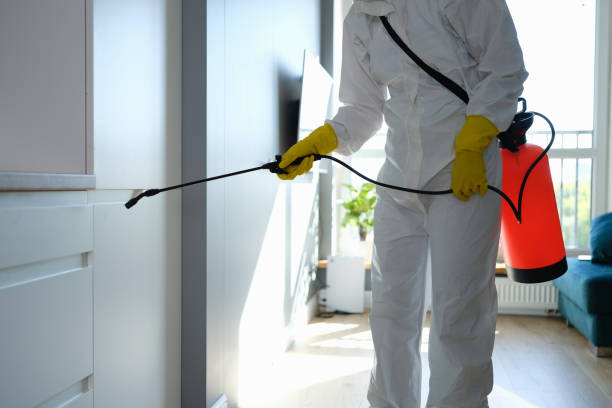 Best Mold Testing  in Owosso, MI