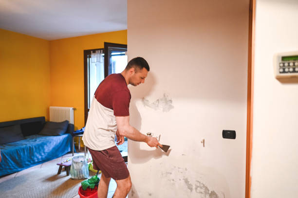 Best Mold Testing  in Owosso, MI